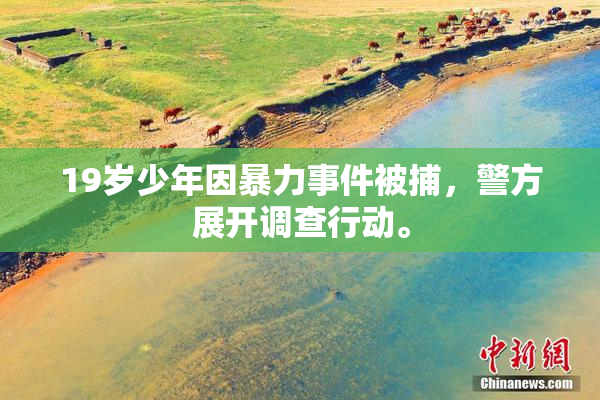 19岁少年因暴力事件被捕，警方展开调查行动。