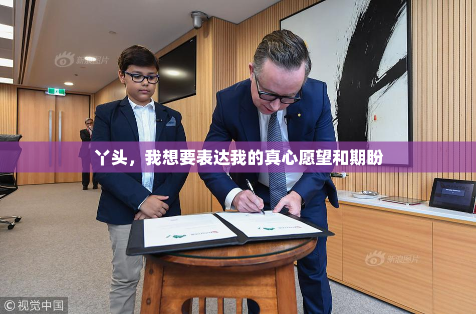丫头，我想要表达我的真心愿望和期盼