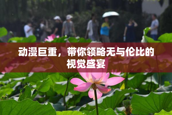 动漫巨重，带你领略无与伦比的视觉盛宴