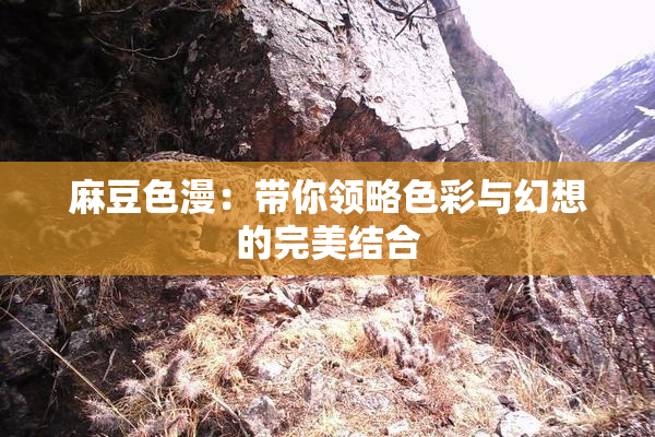 麻豆色漫：带你领略色彩与幻想的完美结合
