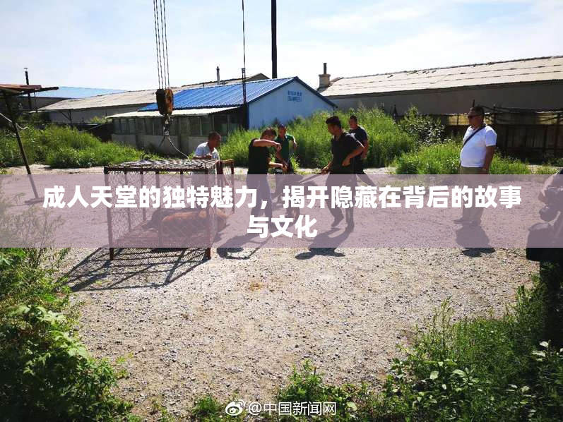 成人天堂的独特魅力，揭开隐藏在背后的故事与文化