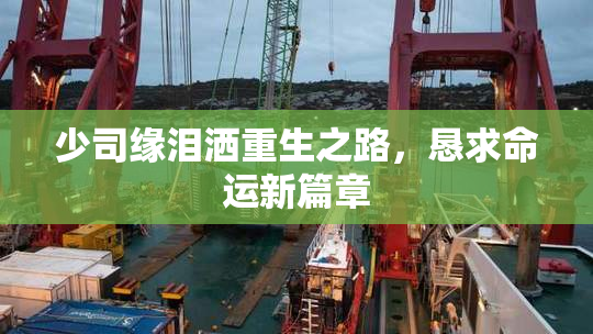少司缘泪洒重生之路，恳求命运新篇章