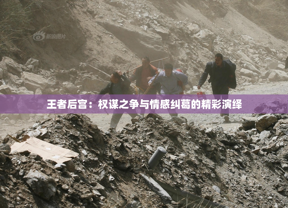 王者后宫：权谋之争与情感纠葛的精彩演绎