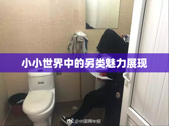 小小世界中的另类魅力展现