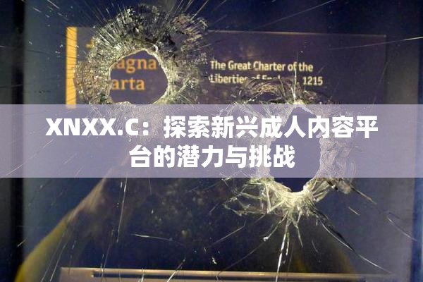 XNXX.C：探索新兴成人内容平台的潜力与挑战