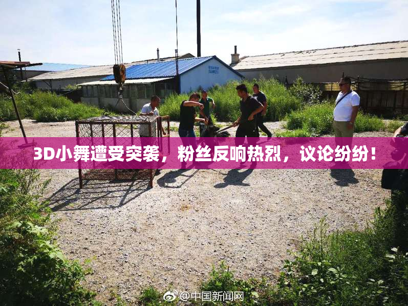 3D小舞遭受突袭，粉丝反响热烈，议论纷纷！