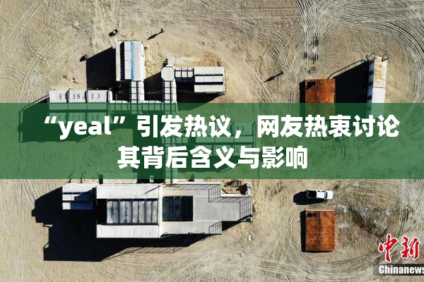 “yeal”引发热议，网友热衷讨论其背后含义与影响