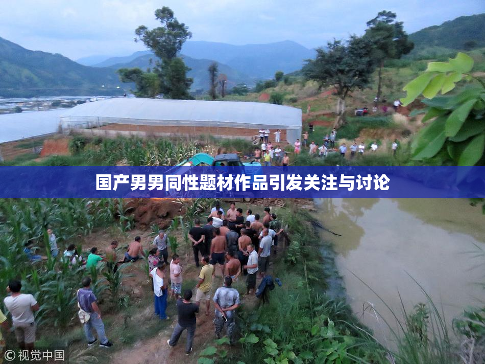 国产男男同性题材作品引发关注与讨论