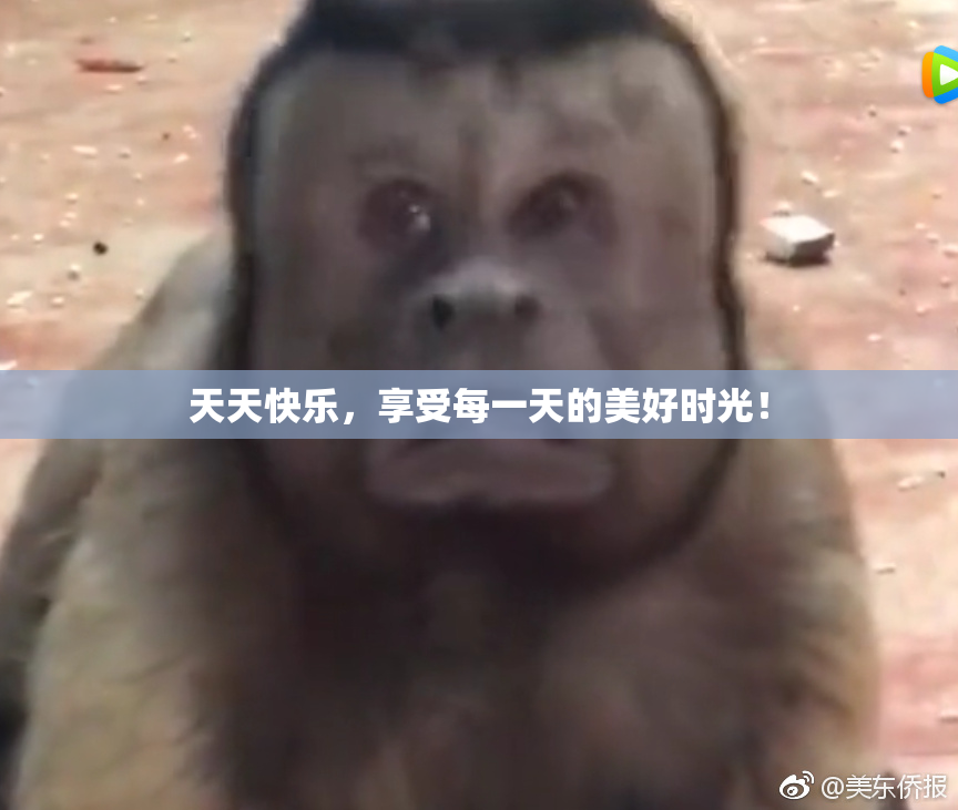 天天快乐，享受每一天的美好时光！