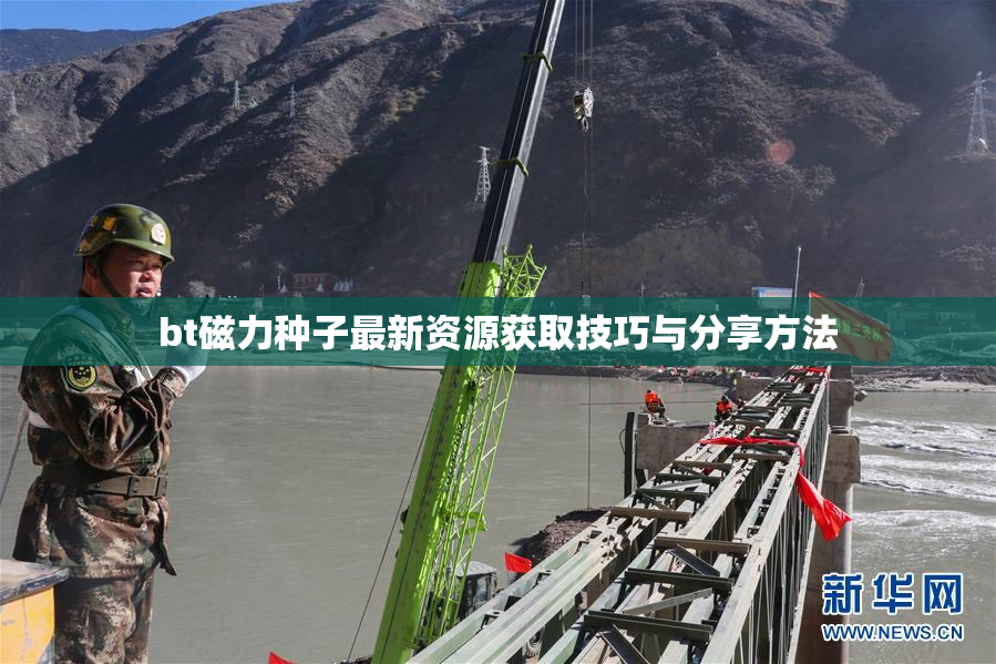 bt磁力种子最新资源获取技巧与分享方法