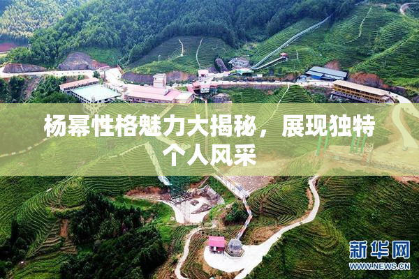 杨幂性格魅力大揭秘，展现独特个人风采