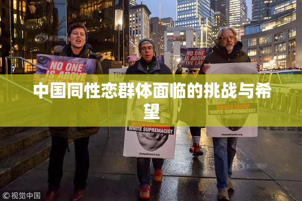中国同性恋群体面临的挑战与希望