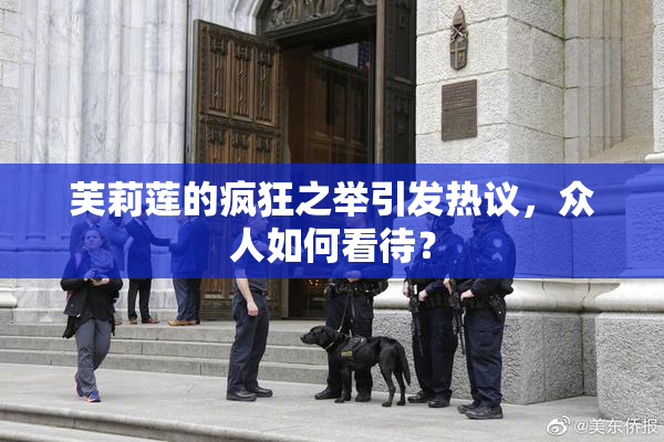 芙莉莲的疯狂之举引发热议，众人如何看待？