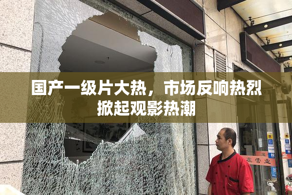国产一级片大热，市场反响热烈掀起观影热潮