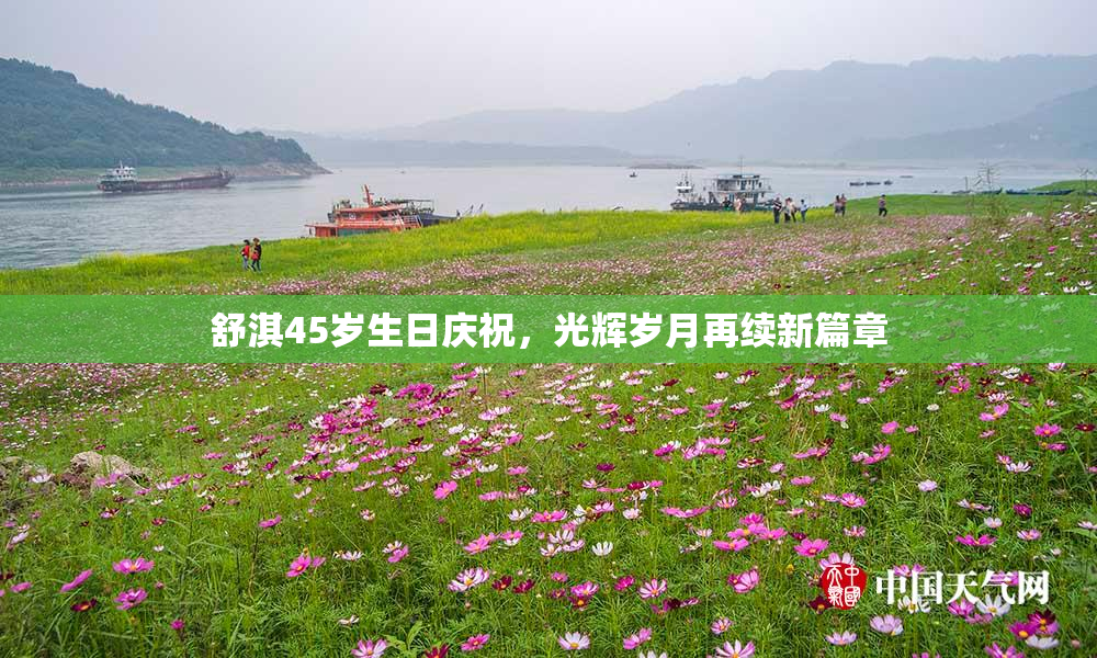 舒淇45岁生日庆祝，光辉岁月再续新篇章