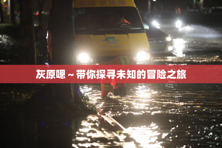 灰原嗯～带你探寻未知的冒险之旅