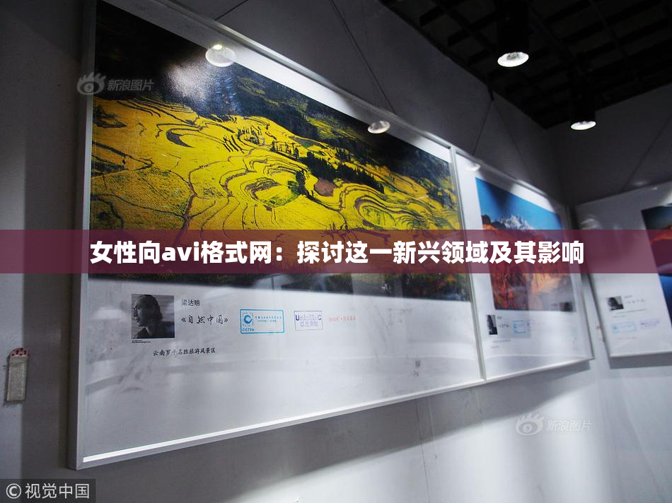 女性向avi格式网：探讨这一新兴领域及其影响