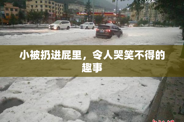小被扔进屁里，令人哭笑不得的趣事