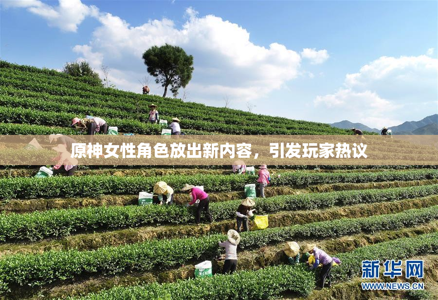 原神女性角色放出新内容，引发玩家热议