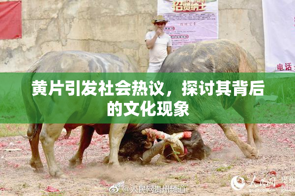 黄片引发社会热议，探讨其背后的文化现象