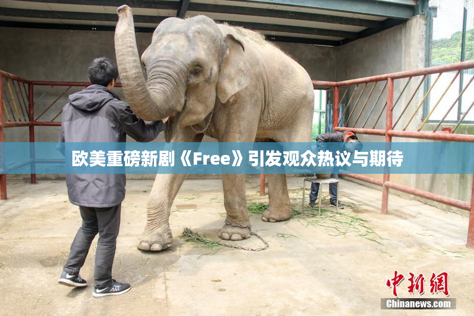 欧美重磅新剧《Free》引发观众热议与期待