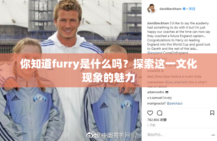 你知道furry是什么吗？探索这一文化现象的魅力