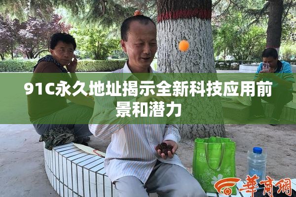 91C永久地址揭示全新科技应用前景和潜力