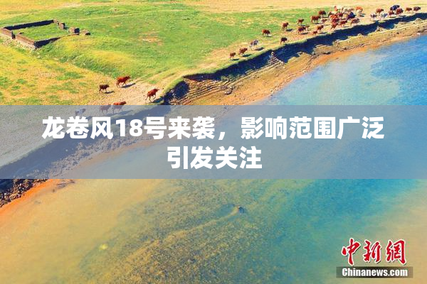 龙卷风18号来袭，影响范围广泛引发关注