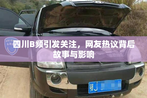 四川B频引发关注，网友热议背后故事与影响