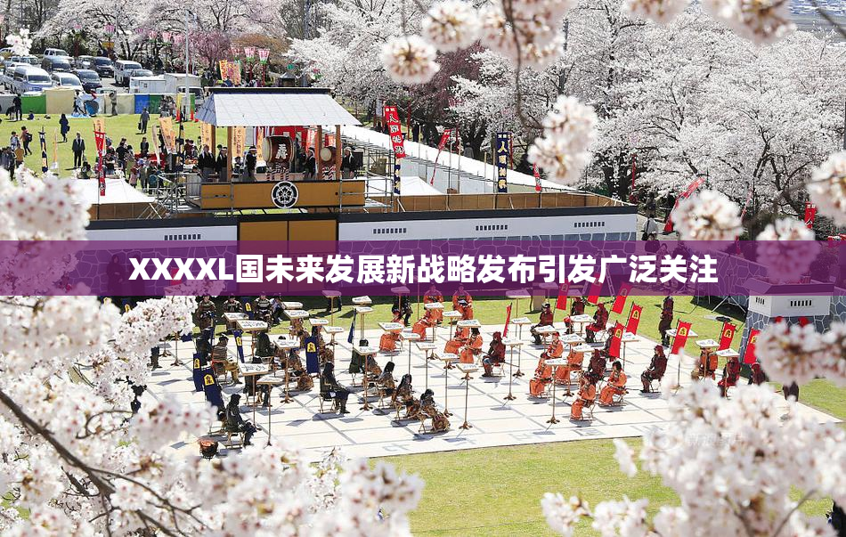 XXXXL国未来发展新战略发布引发广泛关注