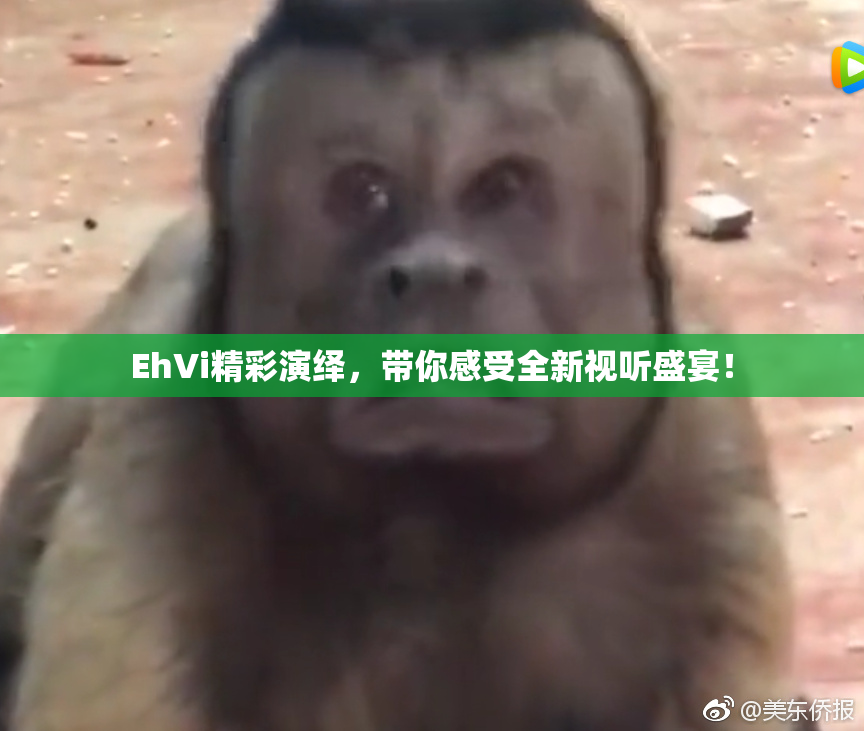 EhVi精彩演绎，带你感受全新视听盛宴！