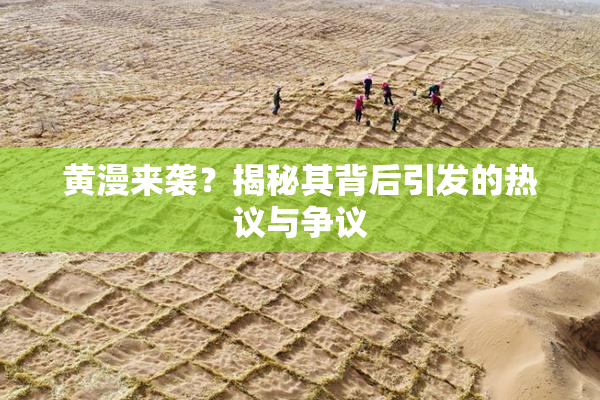 黄漫来袭？揭秘其背后引发的热议与争议