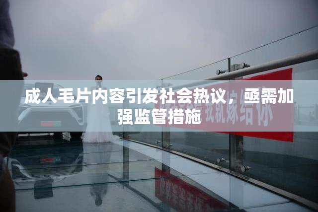 成人毛片内容引发社会热议，亟需加强监管措施