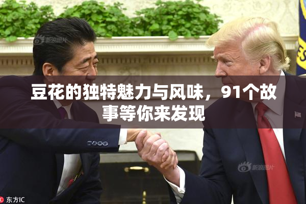 豆花的独特魅力与风味，91个故事等你来发现