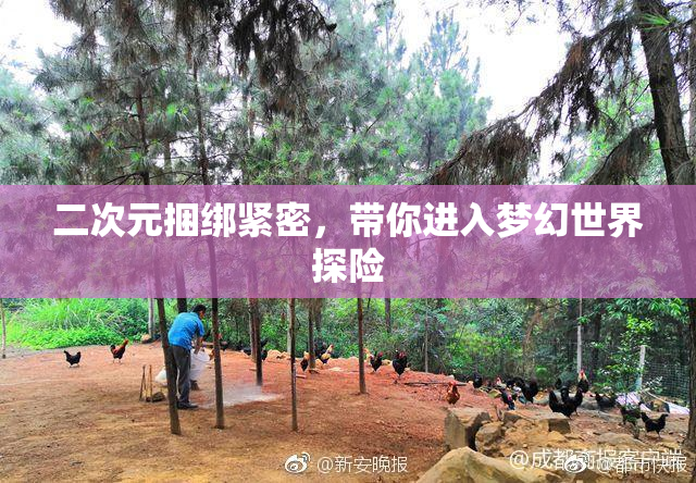 二次元捆绑紧密，带你进入梦幻世界探险