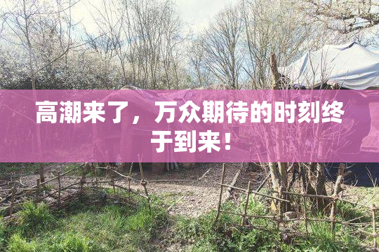 高潮来了，万众期待的时刻终于到来！