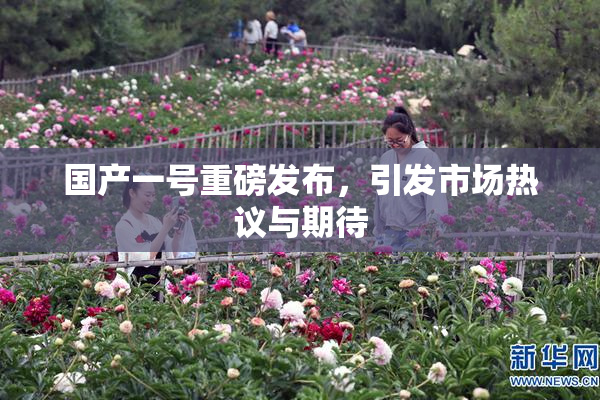 国产一号重磅发布，引发市场热议与期待