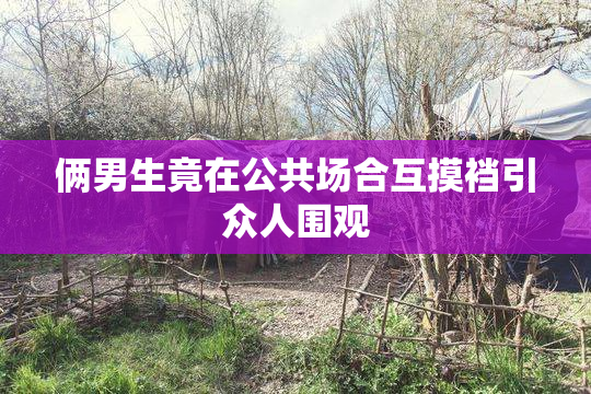 俩男生竟在公共场合互摸裆引众人围观