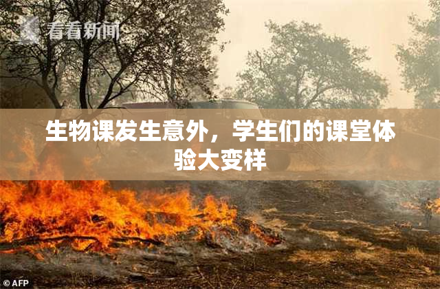 生物课发生意外，学生们的课堂体验大变样