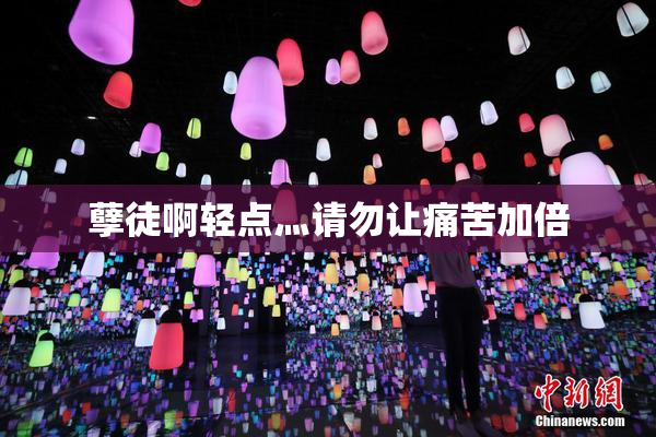 孽徒啊轻点灬请勿让痛苦加倍