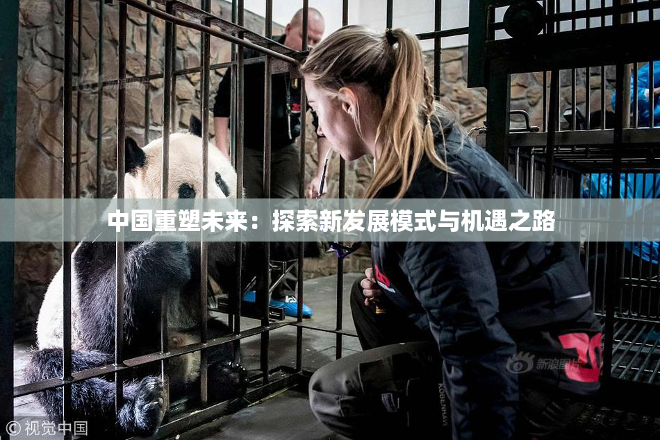 中国重塑未来：探索新发展模式与机遇之路