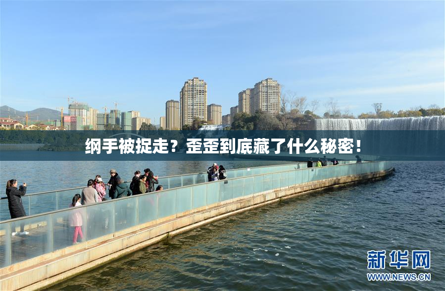纲手被捉走？歪歪到底藏了什么秘密！