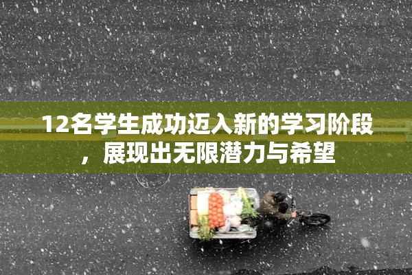 12名学生成功迈入新的学习阶段，展现出无限潜力与希望