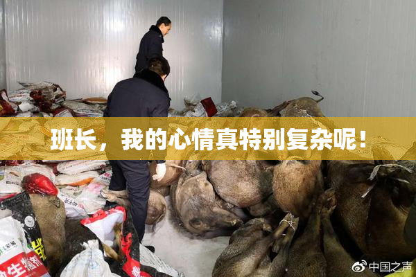 班长，我的心情真特别复杂呢！