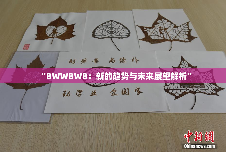 “BWWBWB：新的趋势与未来展望解析”