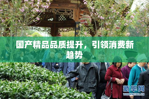 国产精品品质提升，引领消费新趋势