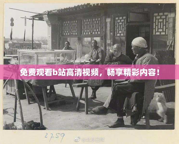 免费观看b站高清视频，畅享精彩内容！