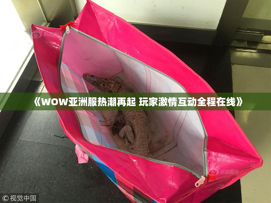 《WOW亚洲服热潮再起 玩家激情互动全程在线》