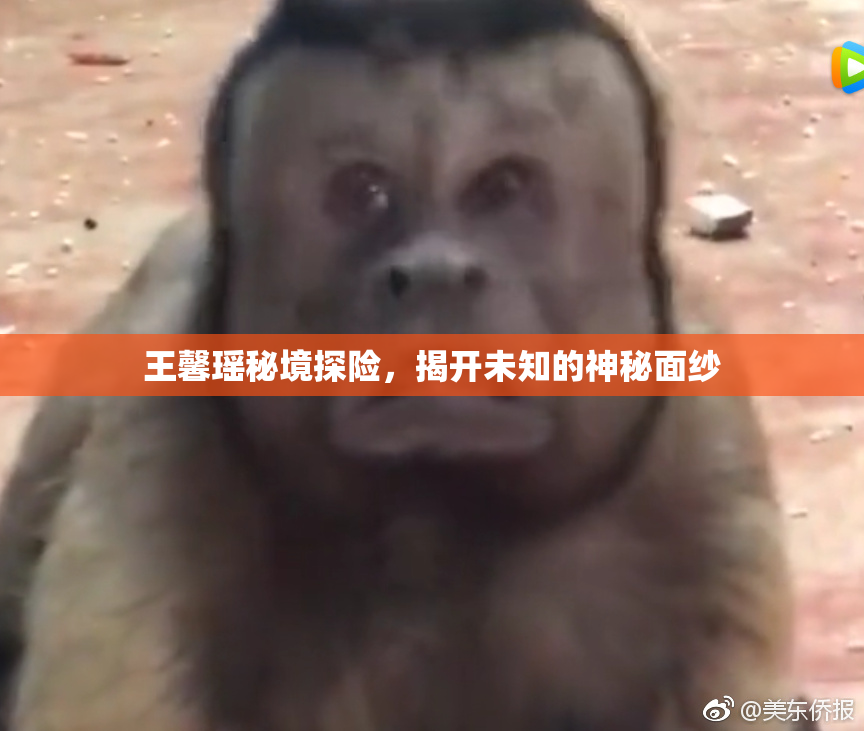 王馨瑶秘境探险，揭开未知的神秘面纱