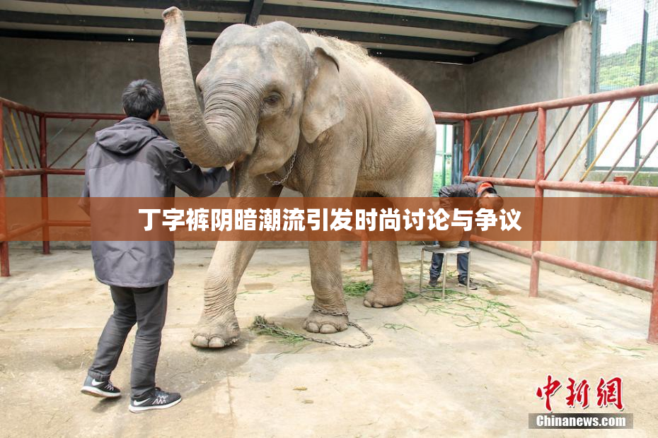 丁字裤阴暗潮流引发时尚讨论与争议